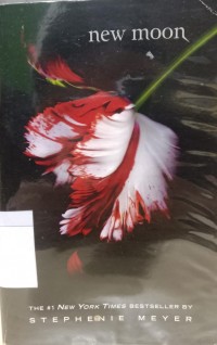 New Moon Image of New Moon